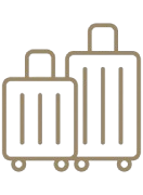 Luggage Assistance